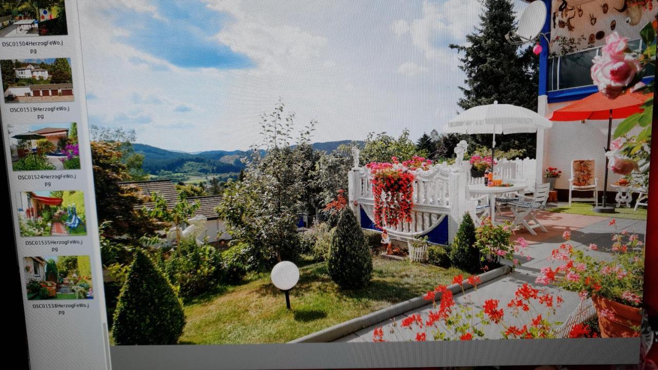 Ferienhaus Haus Herzog ทิทิเซ-นอยชตัดท์ ภายนอก รูปภาพ