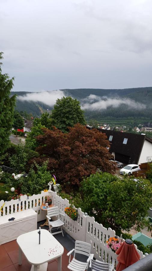 Ferienhaus Haus Herzog ทิทิเซ-นอยชตัดท์ ภายนอก รูปภาพ
