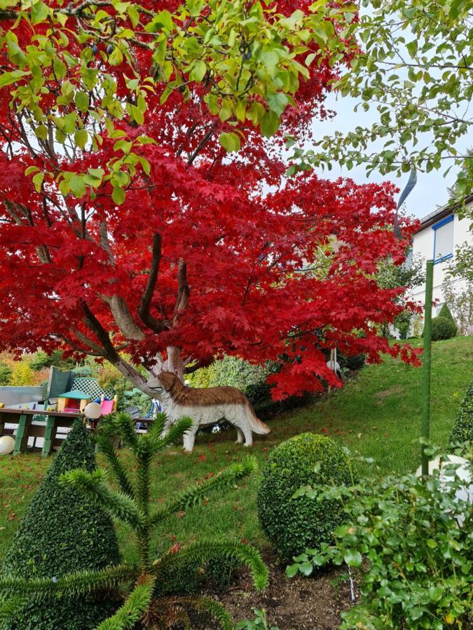 Ferienhaus Haus Herzog ทิทิเซ-นอยชตัดท์ ภายนอก รูปภาพ