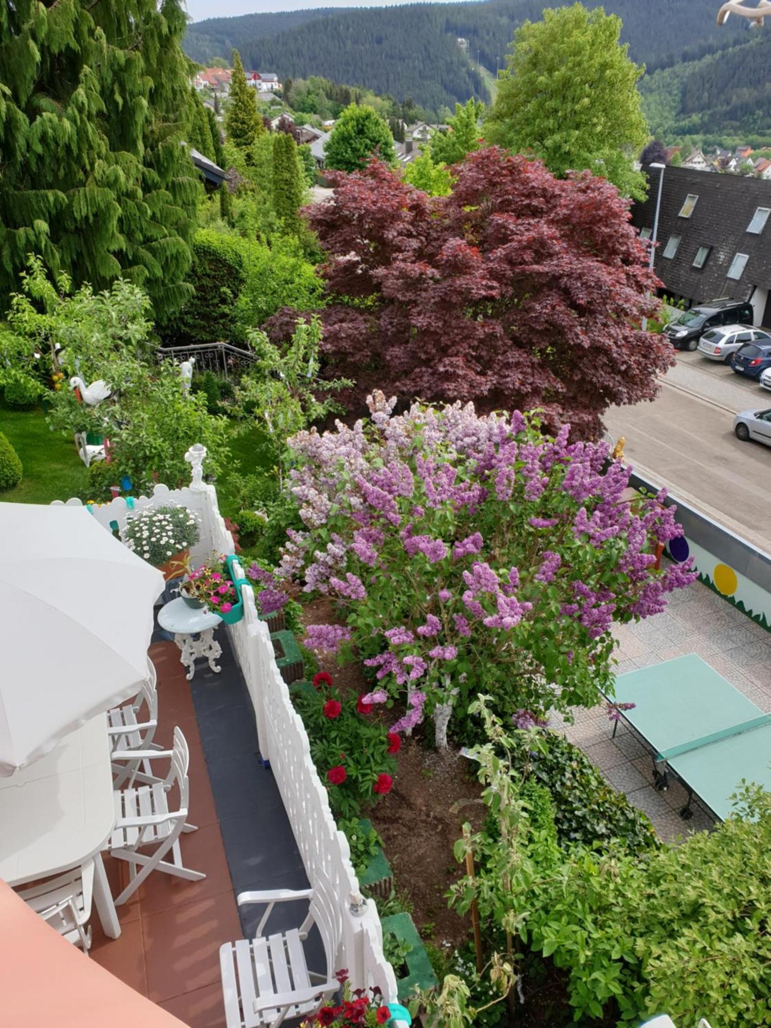 Ferienhaus Haus Herzog ทิทิเซ-นอยชตัดท์ ภายนอก รูปภาพ