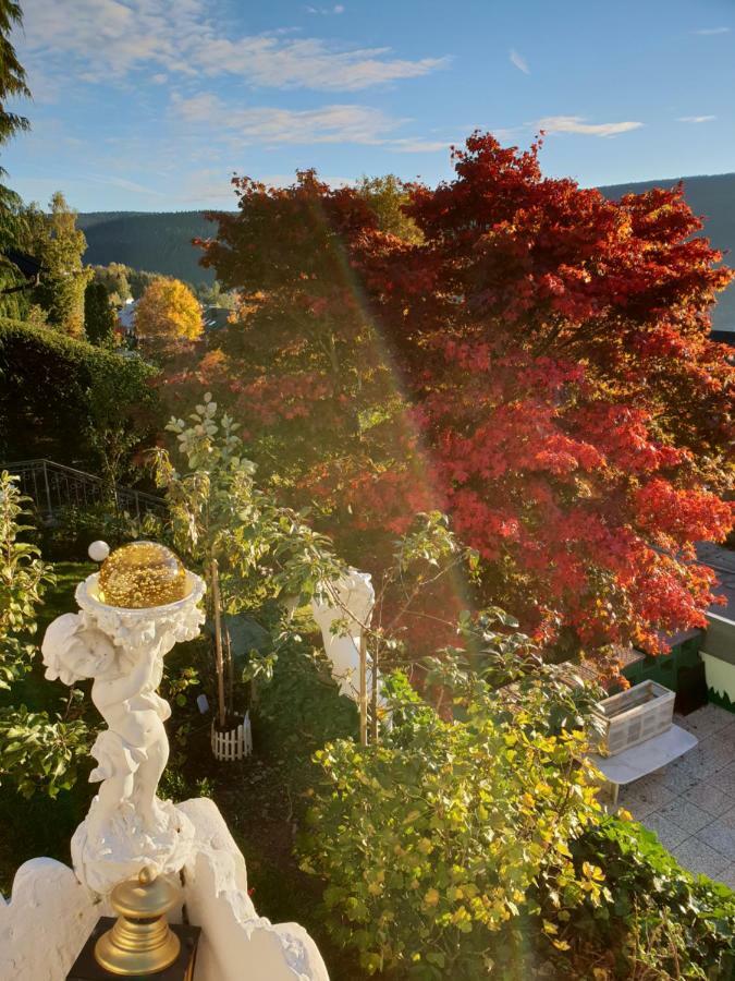 Ferienhaus Haus Herzog ทิทิเซ-นอยชตัดท์ ภายนอก รูปภาพ